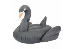Comfortpool Zwarte Zwaan