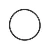 Pentair Triton Zandfilter O-ring (R152501W)